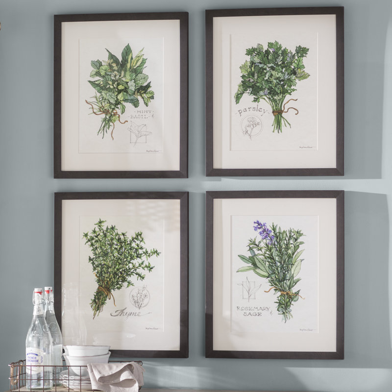 'Herbs' 4 Piece Framed Graphic Art Set & Reviews Birch Lane